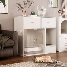 a cat laying on the floor in front of a white cabinet with shelves and drawers