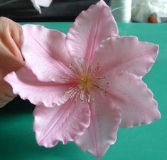 a pink flower is being held up by someone's hand on a green surface