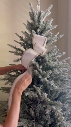 a person is holding a white ribbon around a christmas tree