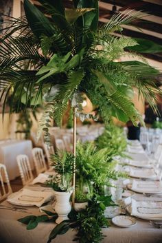 the table is set with white plates and green plants in vases on each side