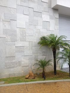 two palm trees in front of a building with a large stone wall behind them and grass on the ground