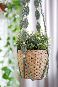 a plant in a basket hanging from the ceiling