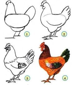 how to draw a chicken step by step instructions for kids and beginners with pictures