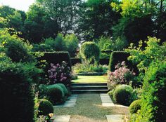 a garden with lots of bushes and flowers