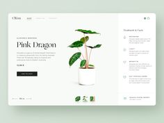 the website design for pink dragon is displayed on a tabletop, with an image of a potted plant in it