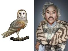 an image of a man with white hair and an owl on his arm, next to a photo of the same person