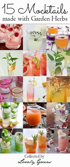 the cover of 15 cocktails made with garden herbs is shown in many different pictures