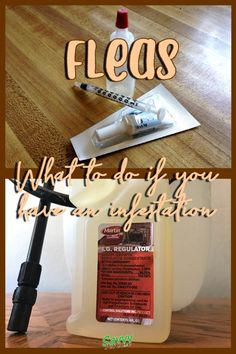 a bottle of cleaner next to a mop on a wooden floor with the words, what to do if you have an injection