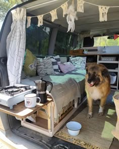 a dog is standing in the back of a van