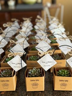 there are many small boxes with succulents in them sitting on the table