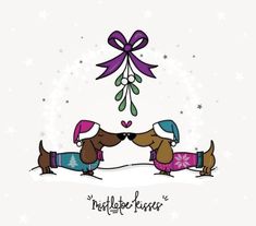 two dachshunds in winter clothes kissing under a mistlet - hanging ornament