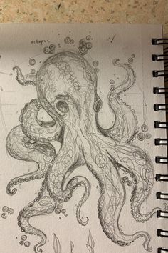 an ink drawing of an octopus