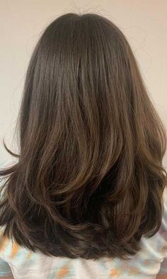 Haircuts For Medium Length Hair, Layered Haircuts For Medium Hair, Medium Layered Haircuts, Hairstyles For Layered Hair, Layered Haircut, Long Brown Hair, Haircuts For Medium Hair, Haircuts Straight Hair, Trendy Haircuts