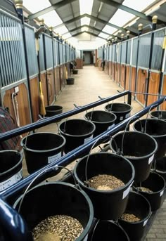 several buckets are lined up on the side of a horse stable with stalls full of horses