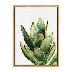 a painting of a green plant on a white background