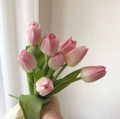 pink tulips are arranged in a vase on a table