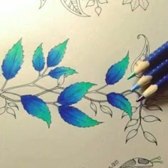 two pencils sitting on top of a piece of paper next to some blue and green leaves