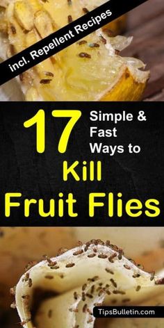 pineapples with text that reads 17 simple and fast ways to kill fruit flies