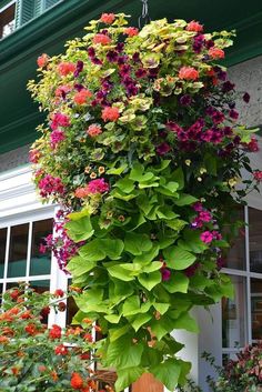 a tall planter filled with lots of flowers next to a building