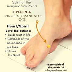 Spirit of the Acupuncture Points — Village Wellness. a main line holistic acupuncture center in Berwyn, PA 19312 Meridian Lines, Mental Health Facts, Holistic Therapies