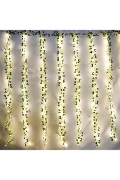 green ivy vines are hanging from the side of a white curtain with lights on it