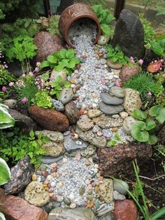 a garden with rocks and plants in it