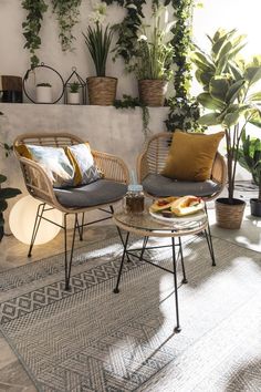 two wicker chairs sitting next to each other on top of a rug in front of potted plants