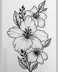 a black and white drawing of flowers