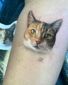 a close up of a cat's face on a person's leg with a tattoo