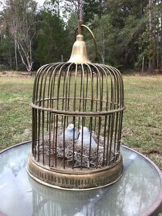 a bird in a cage sitting on top of a table