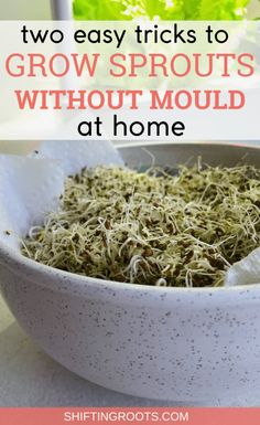 a bowl full of sprouts with text overlay that reads, two easy tricks to grow sprouts without mould at home