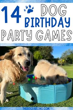 Are you throwing a dog birthday party and looking for party games the doggie guests can play? These dog birthday party games will have your guests having fun all party long! Doggy Birthday Party Games, Dogs First Birthday Party Ideas, Dog Birthday Games For Dogs, Dog Birthday Party Games For Dogs, Puppy Party For Dogs, Dog Games Outdoor, Birthday Party For A Dog, Dog Party Activities For Dogs, Doggie Birthday Party For Dogs