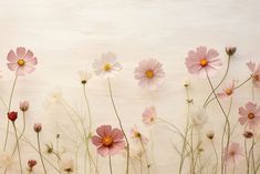 pink and white flowers against a light colored wall with grass in the foreground,