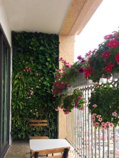 the balcony is covered with plants and flowers, along with two wooden benches that are facing each other