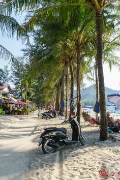 a scooter parked on the beach next to palm trees and people sitting under umbrellas