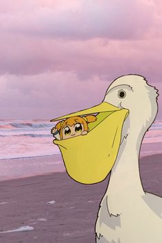 a large white bird standing on top of a beach next to the ocean with a baby in it's mouth