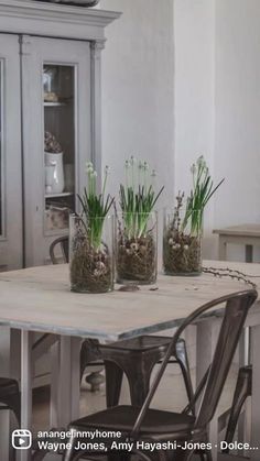 three vases filled with plants sitting on top of a table