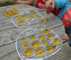 children are gathered around an egg carton filled with oil