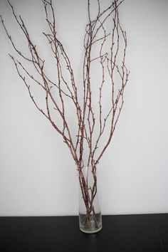 a vase filled with branches on top of a black table next to a white wall