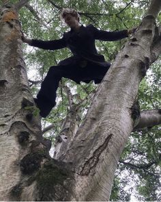 a man climbing up the side of a tall tree