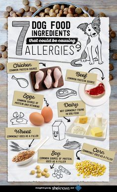 an image of food that includes allergies