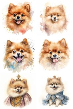 four pomeranians with crowns and tiaras are shown in this watercolor painting style