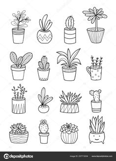 hand drawn potted plants and succulents in black and white stock photo