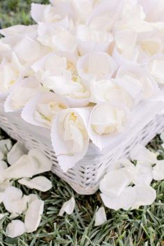 white flowers in a wicker basket on the grass with petals scattered all over it