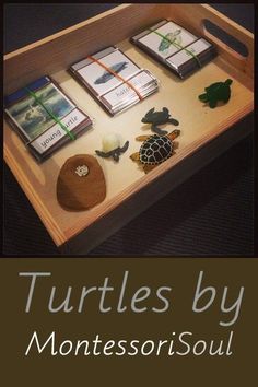 there is a table with books and other items on it that says turtles by montessori