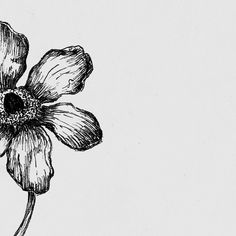 a black and white drawing of a flower