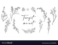 flowers and plants drawn in black ink on a white background with the words forget me not