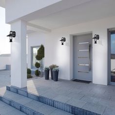 the entrance to a building with steps leading up to it and potted plants on either side