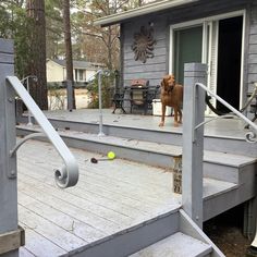 a dog standing on top of a wooden deck next to a door and steps with a tennis ball in the air