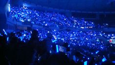 a large group of people in a stadium at night